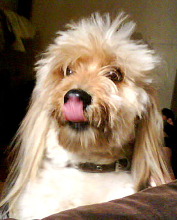 прикрепленный файл