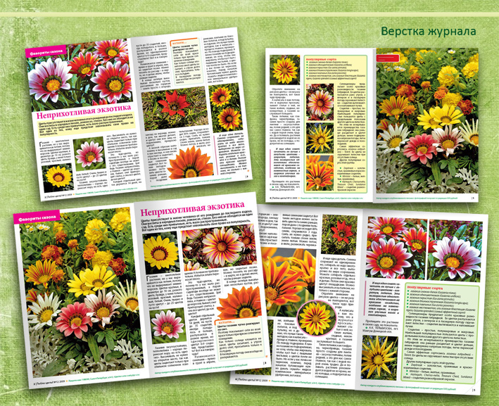 Верстка журнала 2
