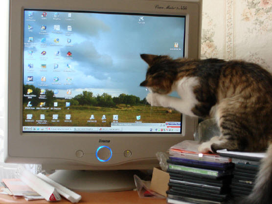 "Сейчас я тебя съем..."