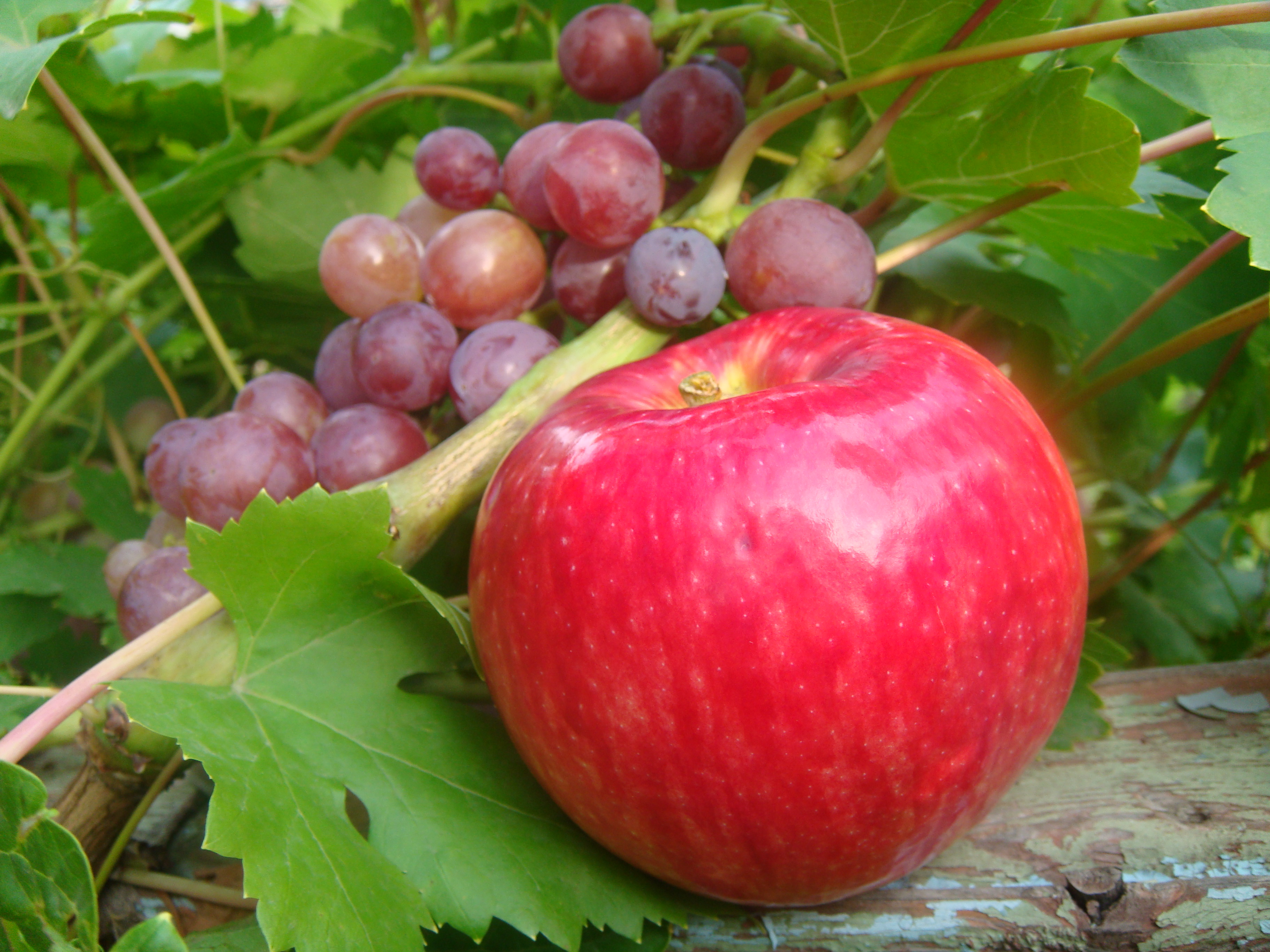 полет фантазии