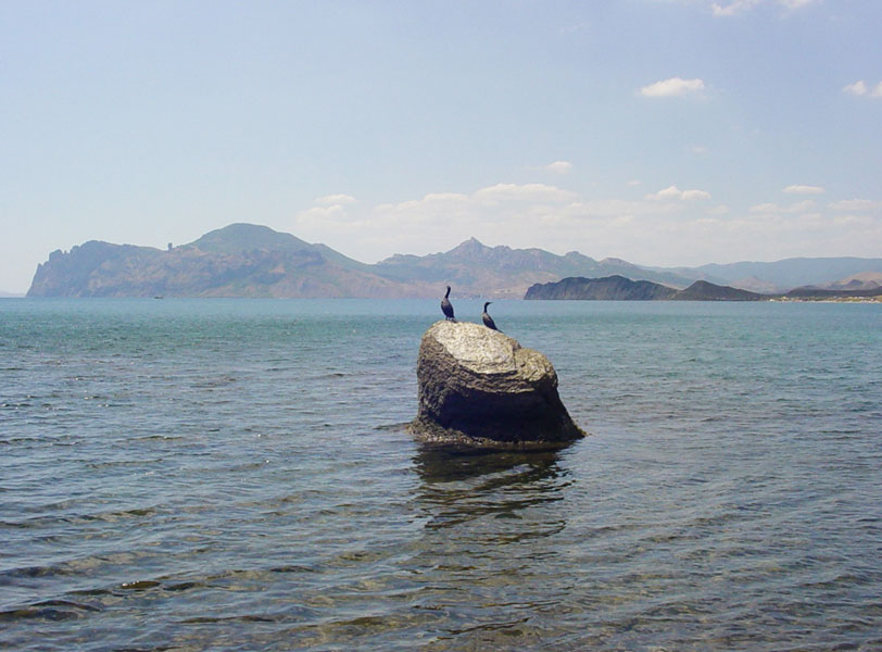 Без названия