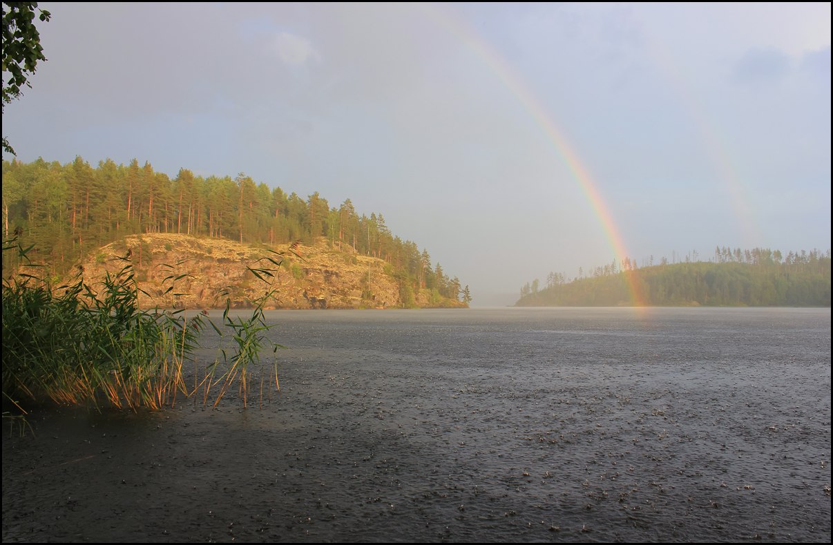 Летний Ливень