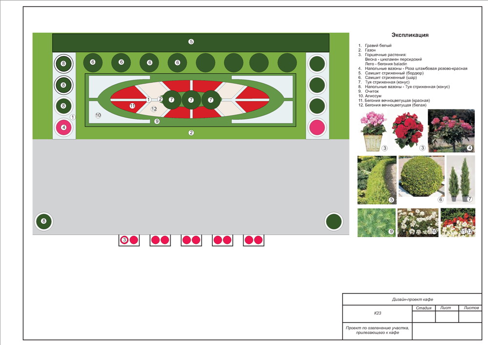 Эскиз клумбы у летнего кафе