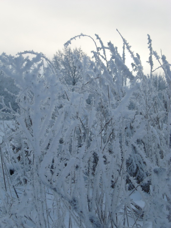 Снежный хрусталь