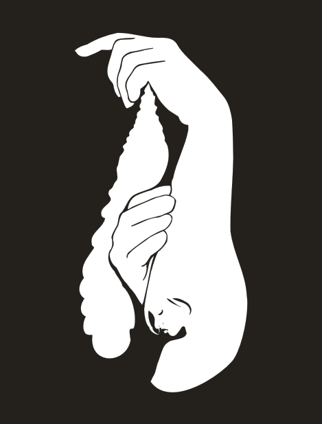 Рисунки и иллюстрации