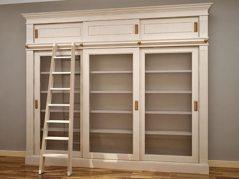 библиотека по индивидуальному проекту