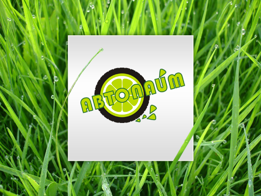 Автолайм, 1 вариант (принятый)