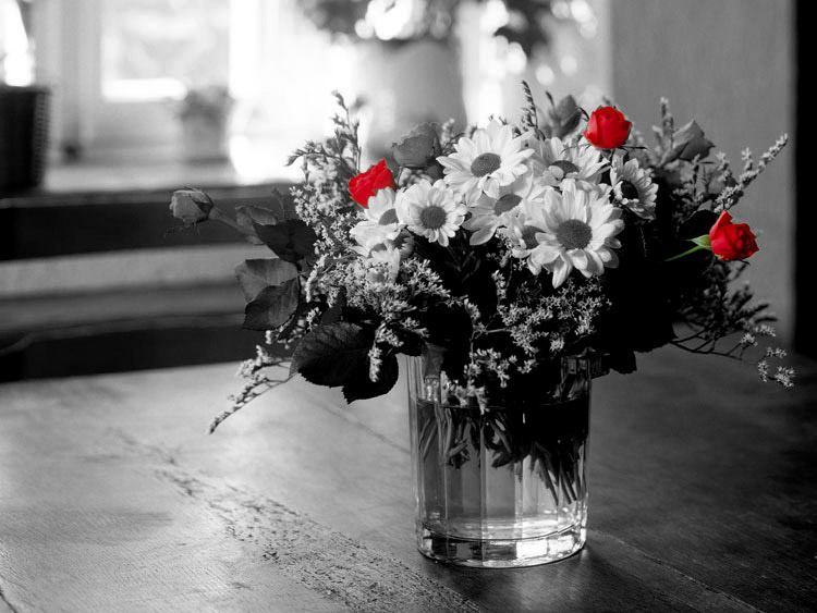 Цветное черно-белое фото.