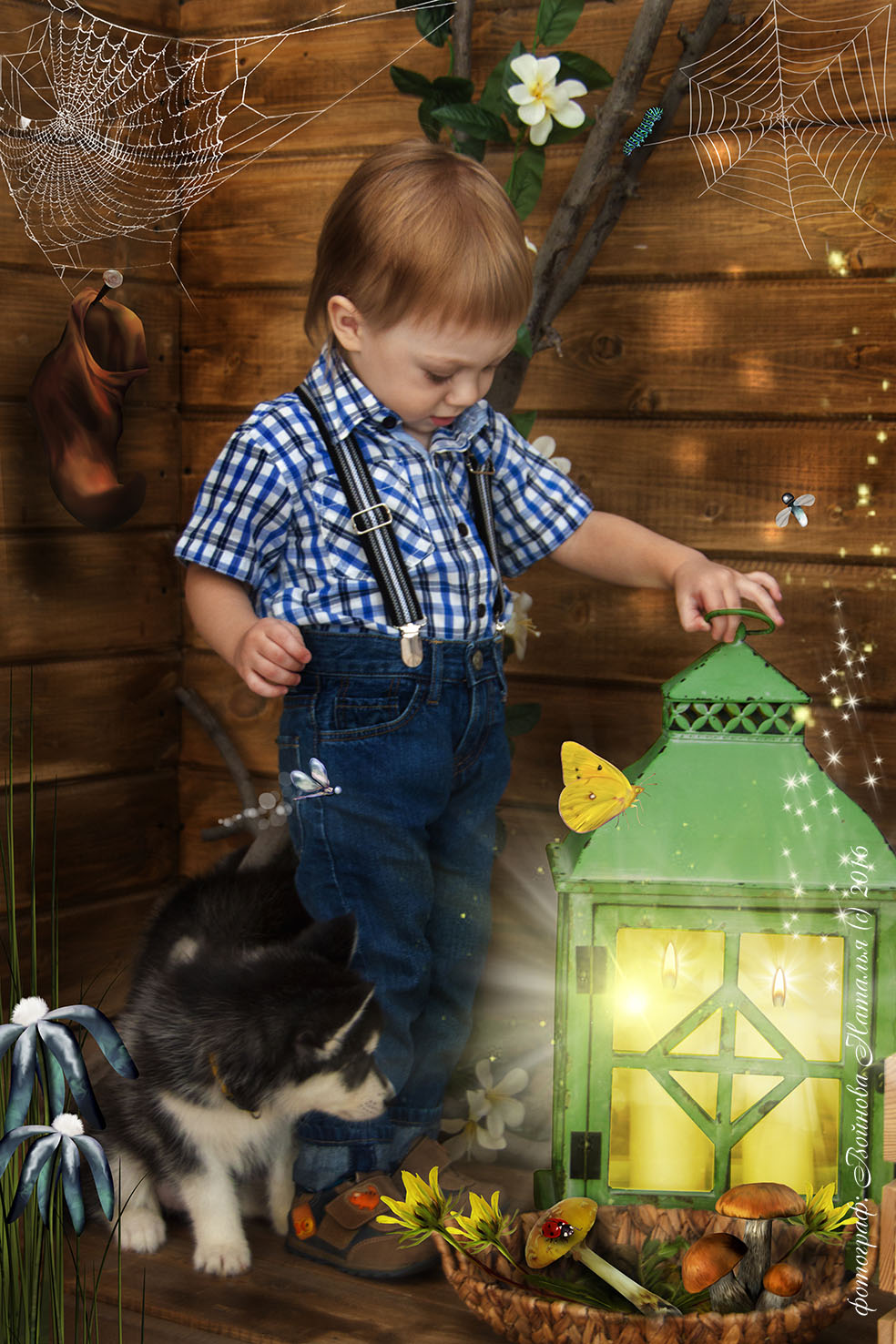 Фотосет "Сказка с хаски"