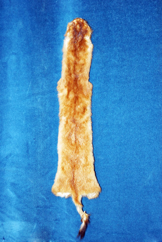 Фотографии для календаря...