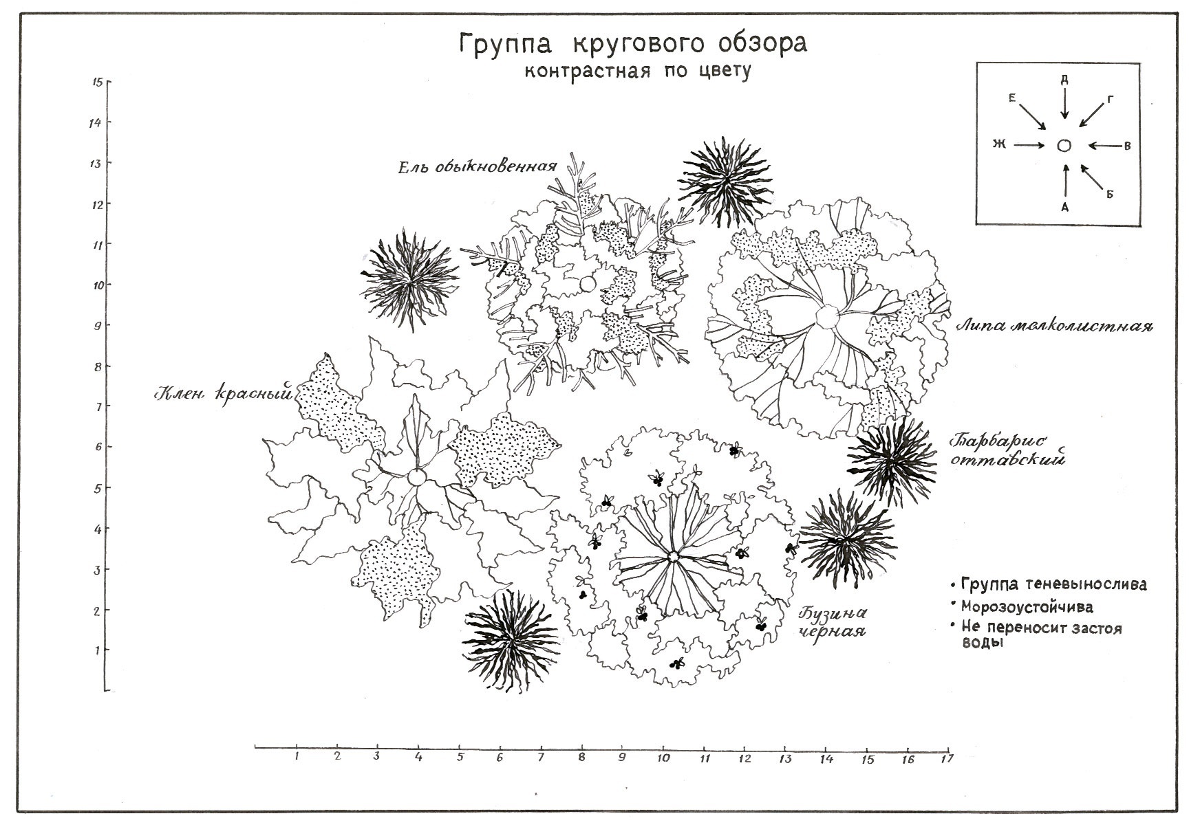 Обучение по курсу "Ландшафтное проектирование". Консультации