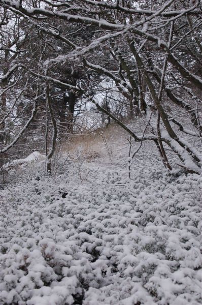 И это тоже в Ялте ;)