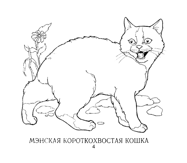 Раскраска "Кошки"