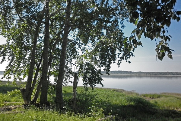 На берегу Онеги