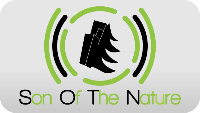 логотип - Son of...