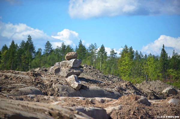 прикрепленный файл