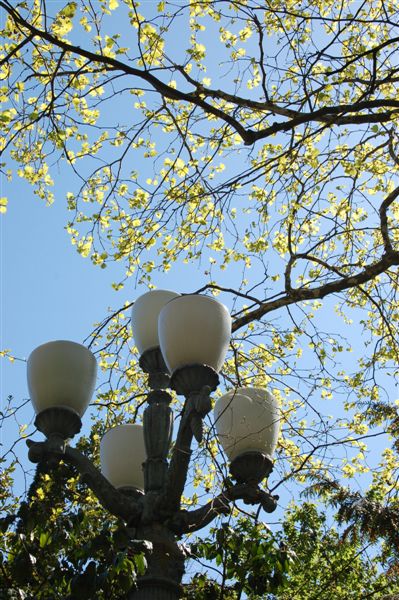 Весна, романтика... :)