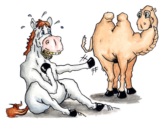 Иллюстрация 10