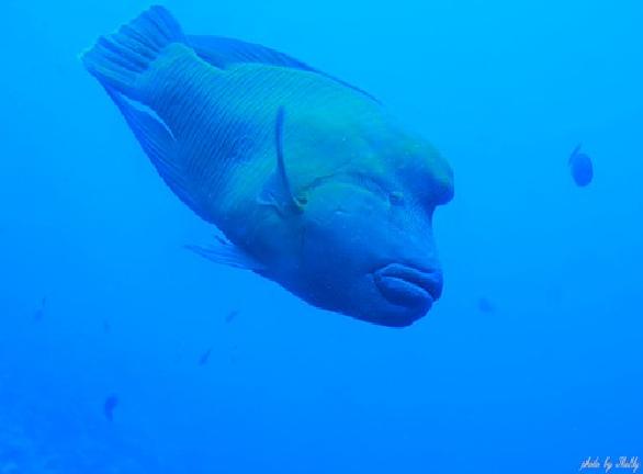 Статья о сайте