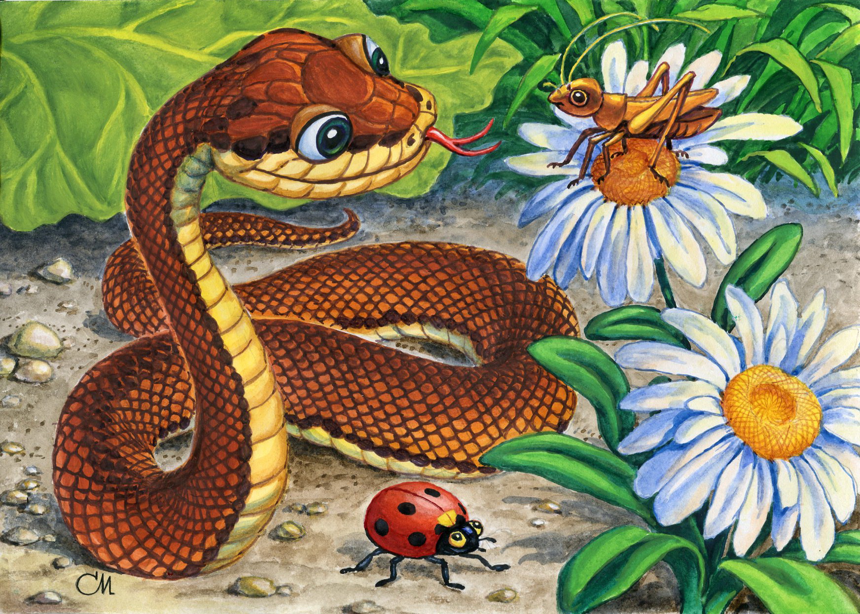 год змеи, календарь