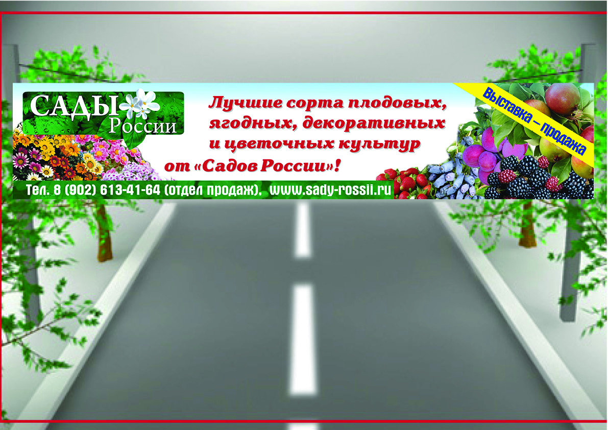 Создание рекламной растяжки для компании "Сады России"