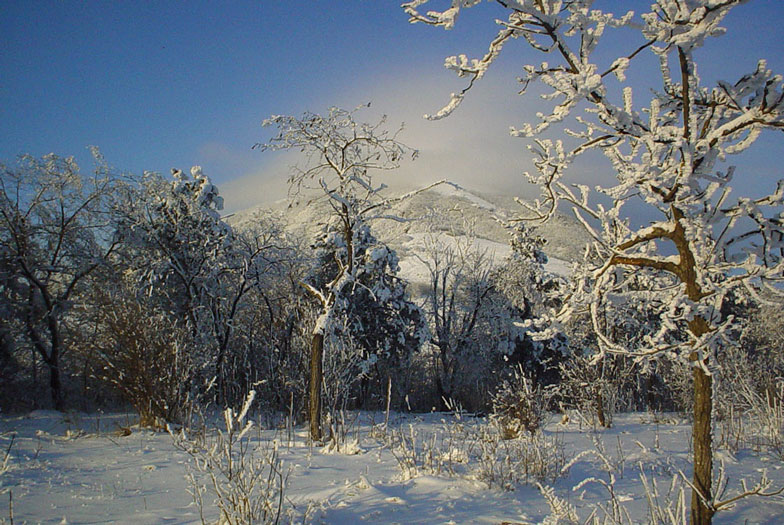 Весенние мысли