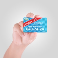 Уменьшенная копия