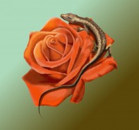 Уменьшенная копия