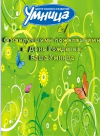 Уменьшенная копия