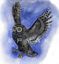 Уменьшенная копия