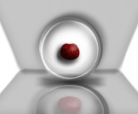 Уменьшенная копия