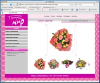 Уменьшенная копия