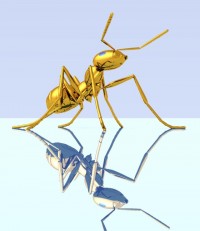 Уменьшенная копия