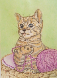 Уменьшенная копия