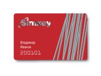 Уменьшенная копия