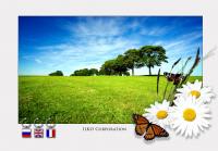 Уменьшенная копия