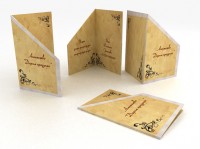 Уменьшенная копия