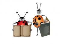 Уменьшенная копия