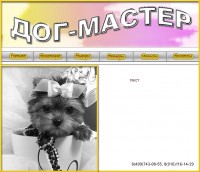 Уменьшенная копия