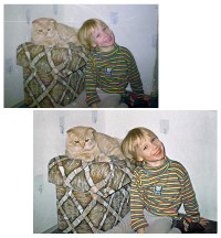 Уменьшенная копия