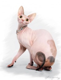 Уменьшенная копия