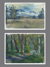 Уменьшенная копия