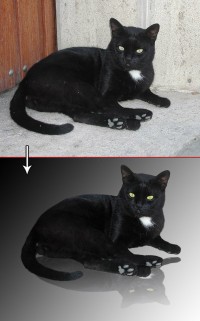 Уменьшенная копия