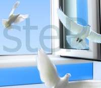 Уменьшенная копия