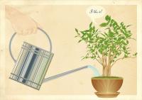 Уменьшенная копия