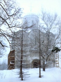 Уменьшенная копия