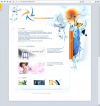 Уменьшенная копия