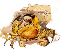 Уменьшенная копия