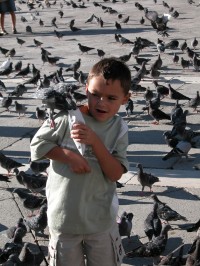 Уменьшенная копия