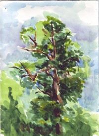 Уменьшенная копия